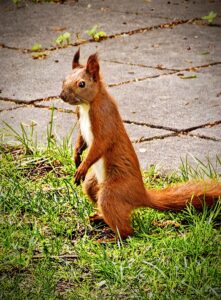 IMG_20260513_163717