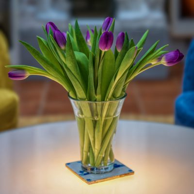 frühe Tulpen ©uli apel